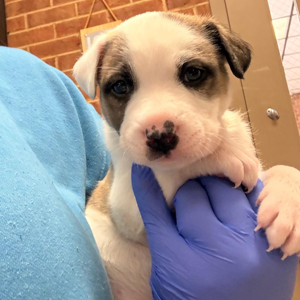 Denise — thumbnail 2