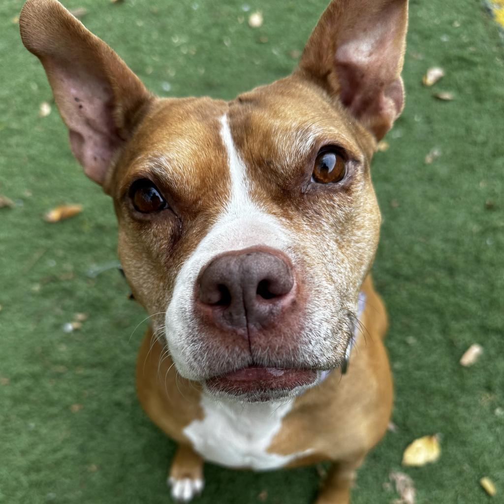 Cranberry — thumbnail 2