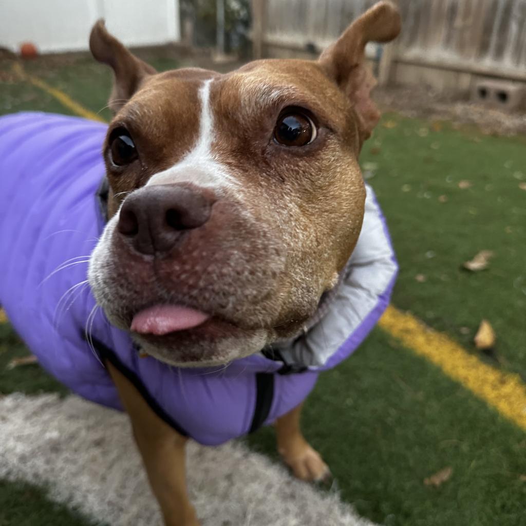 Cranberry — thumbnail 5