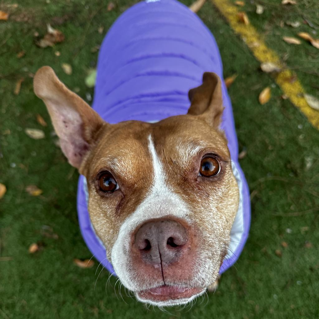 Cranberry — thumbnail 6