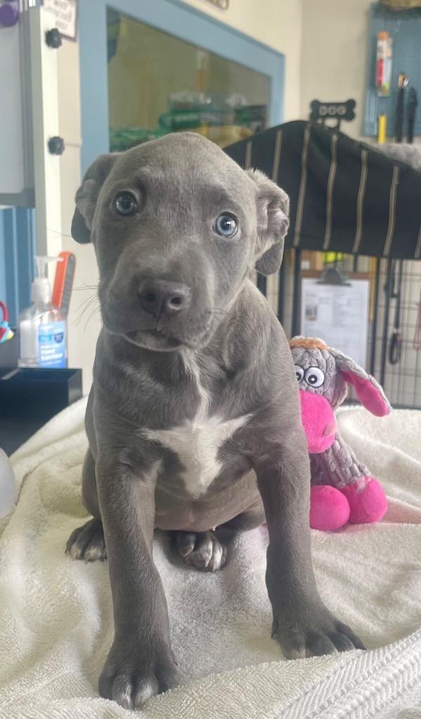 Stormy — thumbnail 2