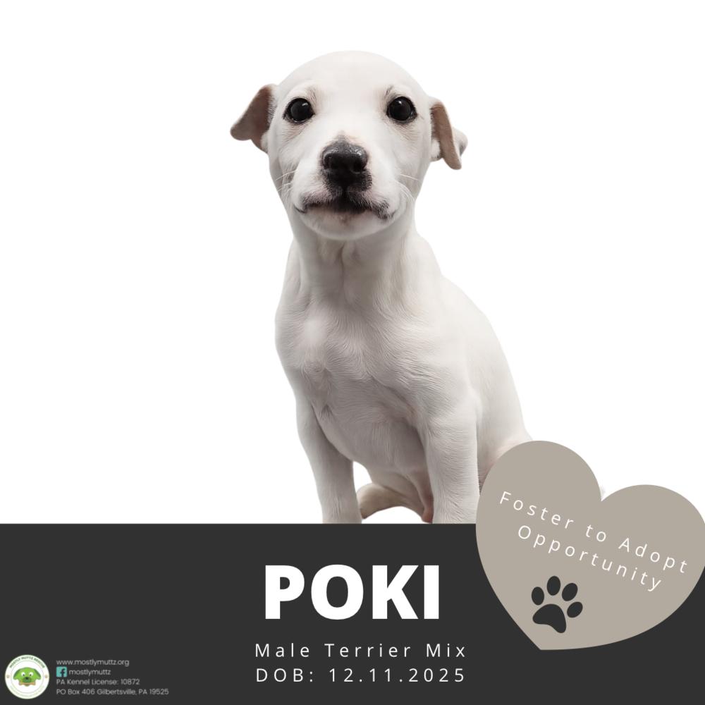 Poki — thumbnail 2