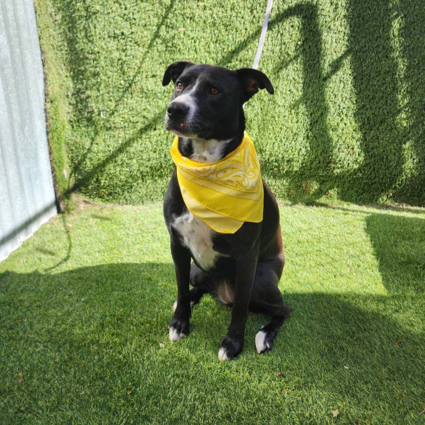 Nini — thumbnail 5