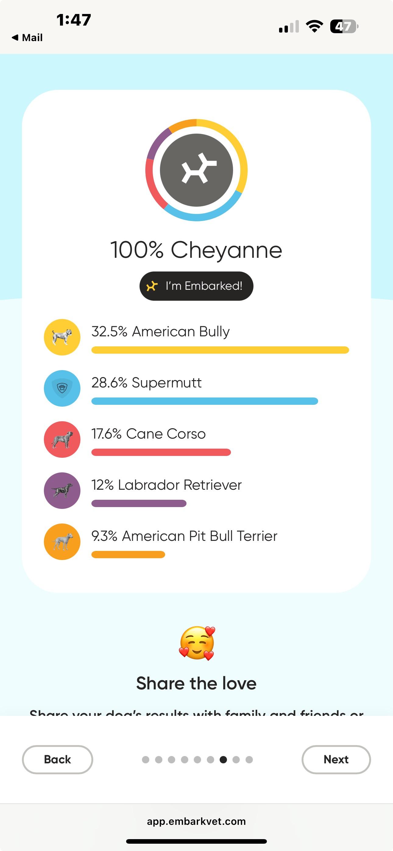 Miranda, a Adoptable mixed breed image 5/5