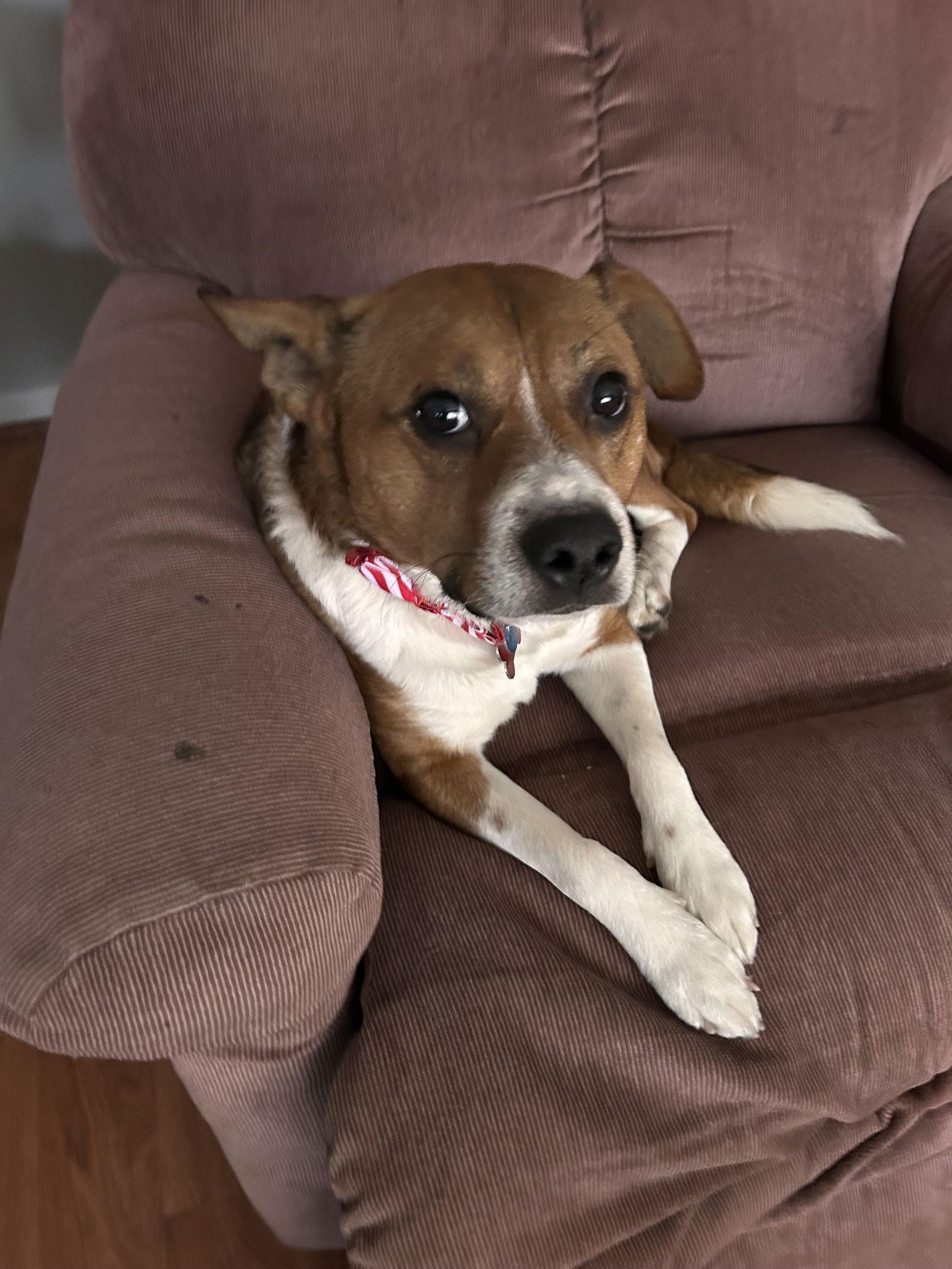 Little Jack ❤️ thumbnail 2