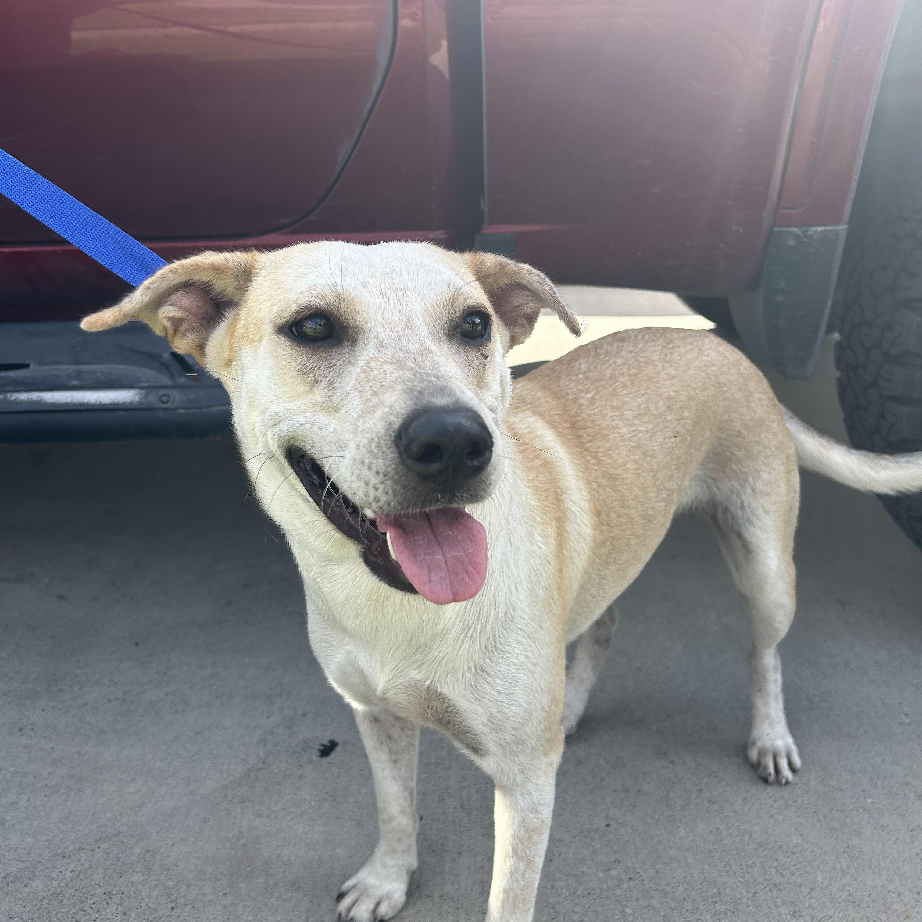 Lily — thumbnail 3