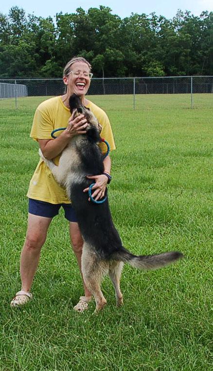 DANCER, a Adoptable German Shepherd Dog in Preston, CT image 2/6