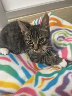 Erik — thumbnail 2