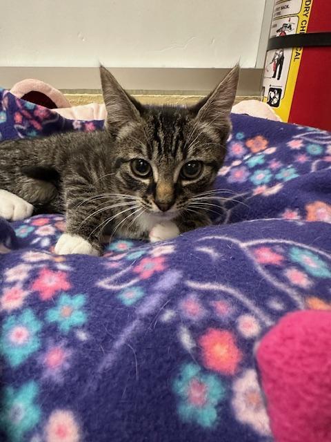 Erik — thumbnail 3