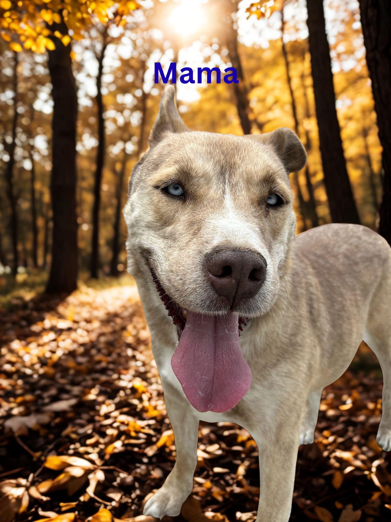 Mama