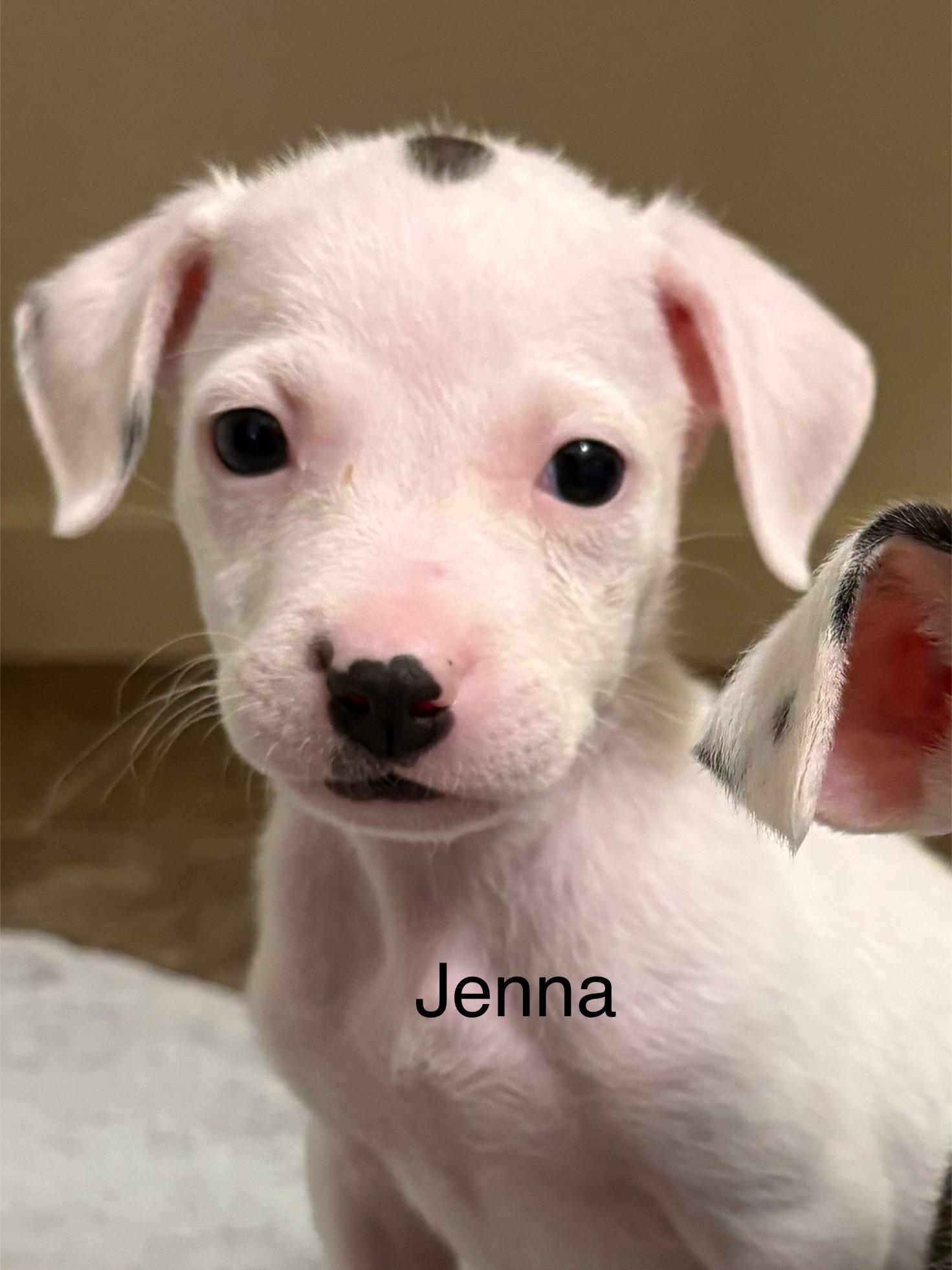 Jenna