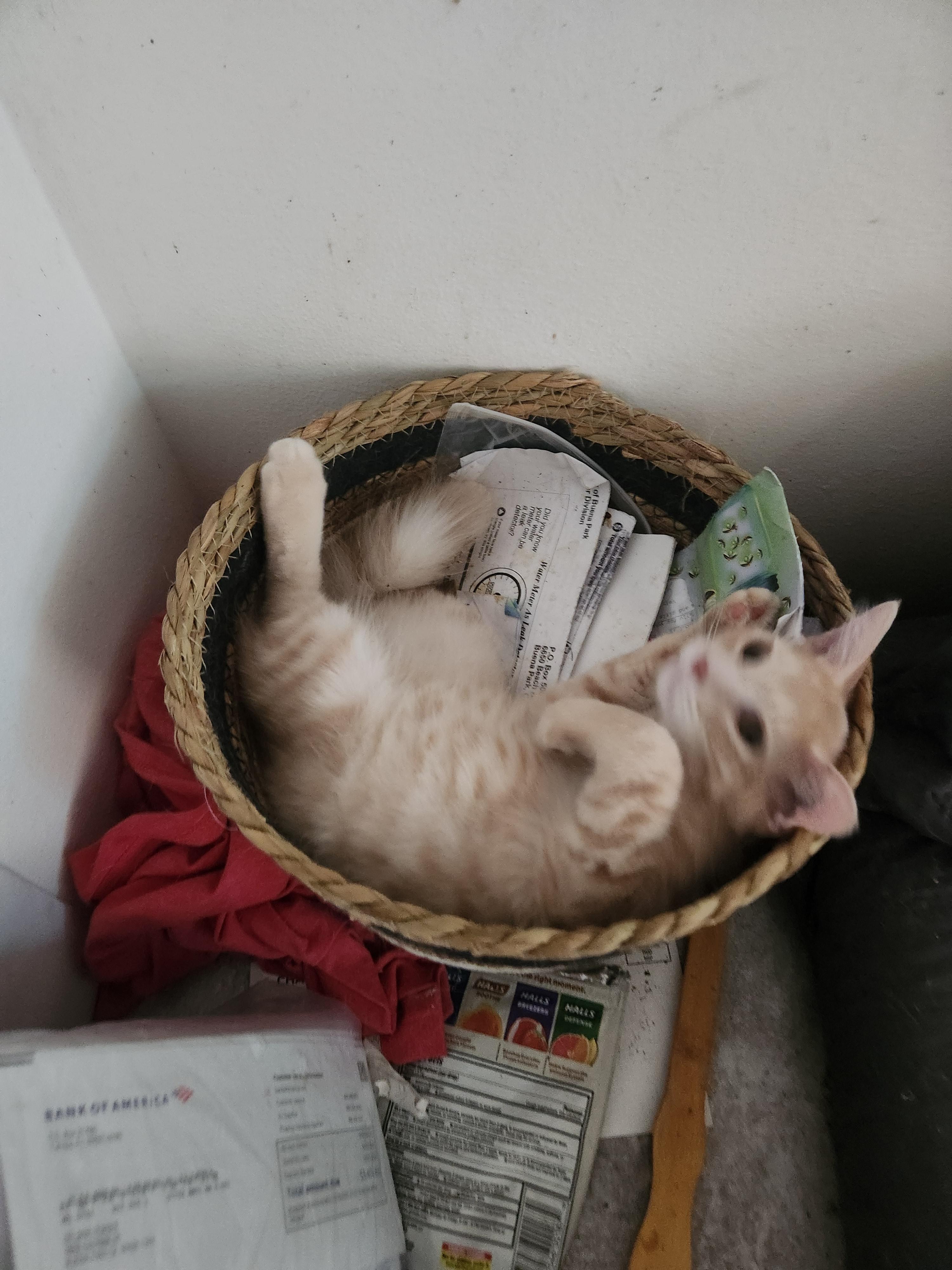 Monty