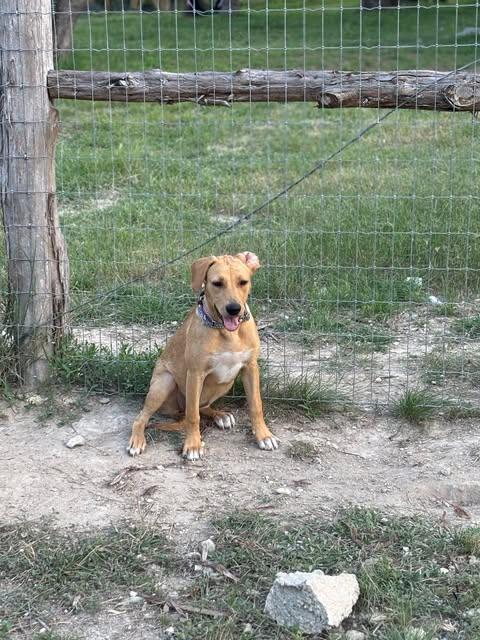 Ellie Mae photo 2