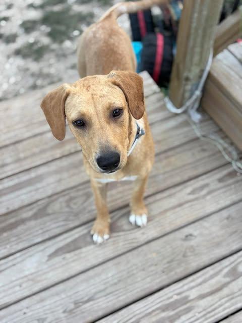 Ellie Mae photo 5