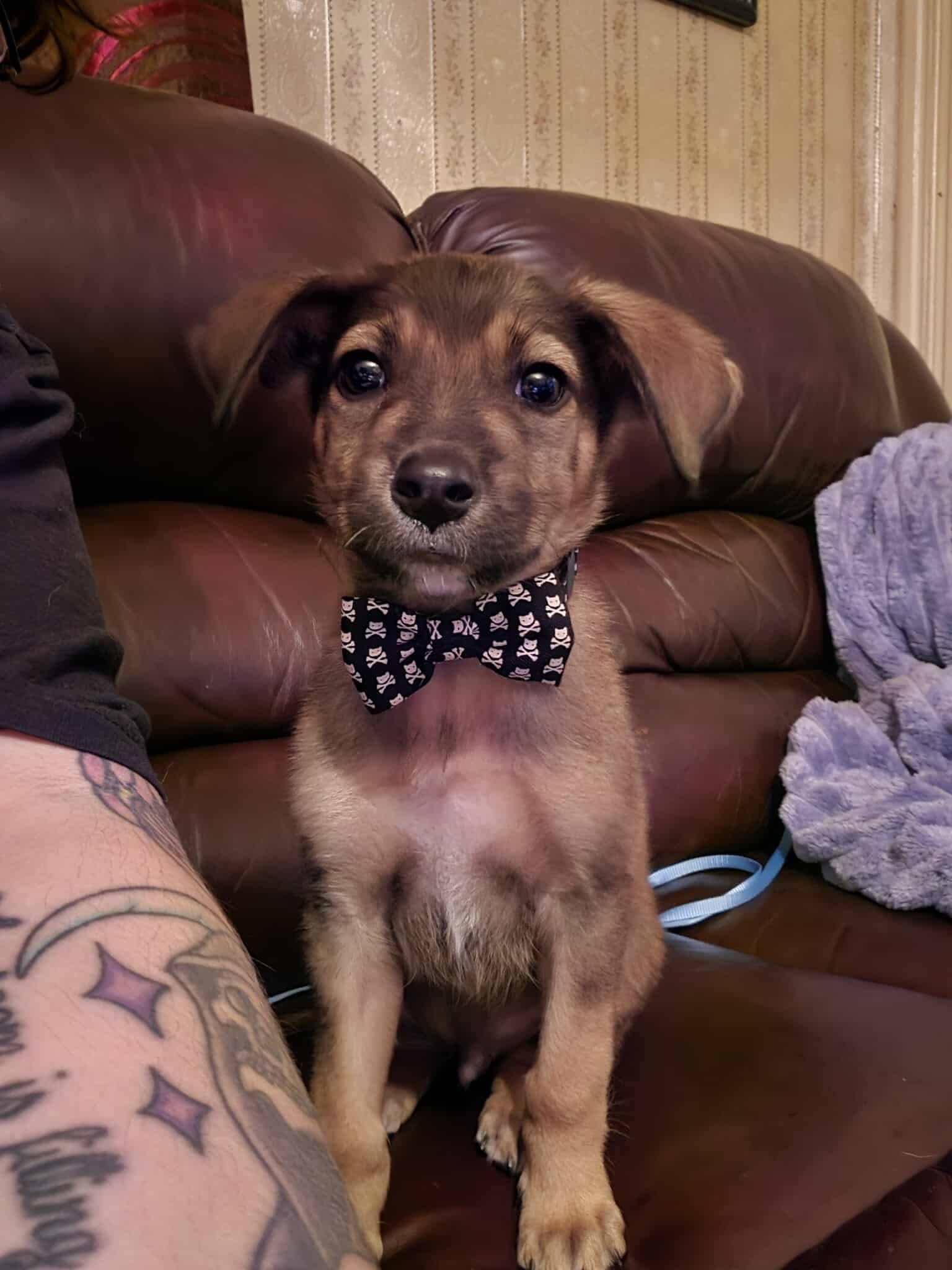 Oscar