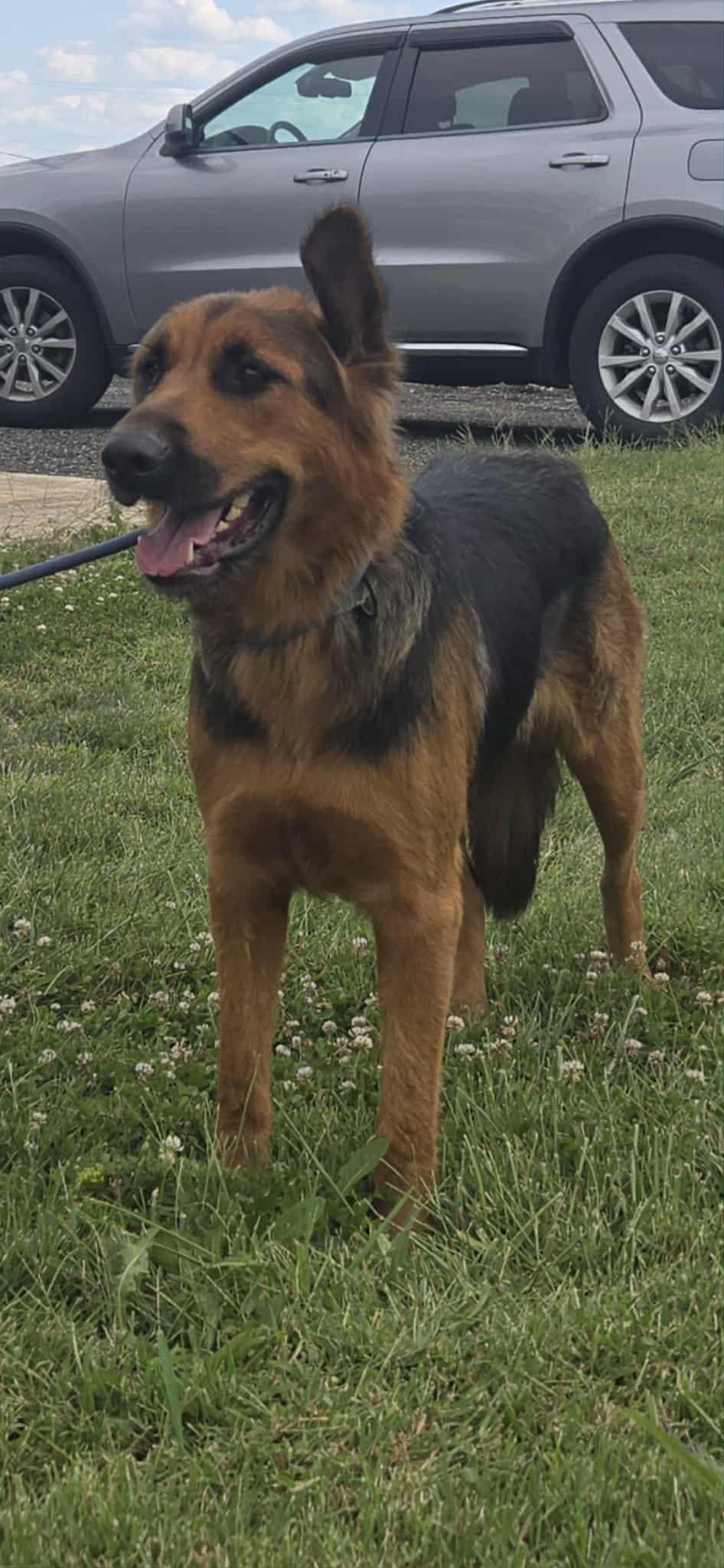 Josie