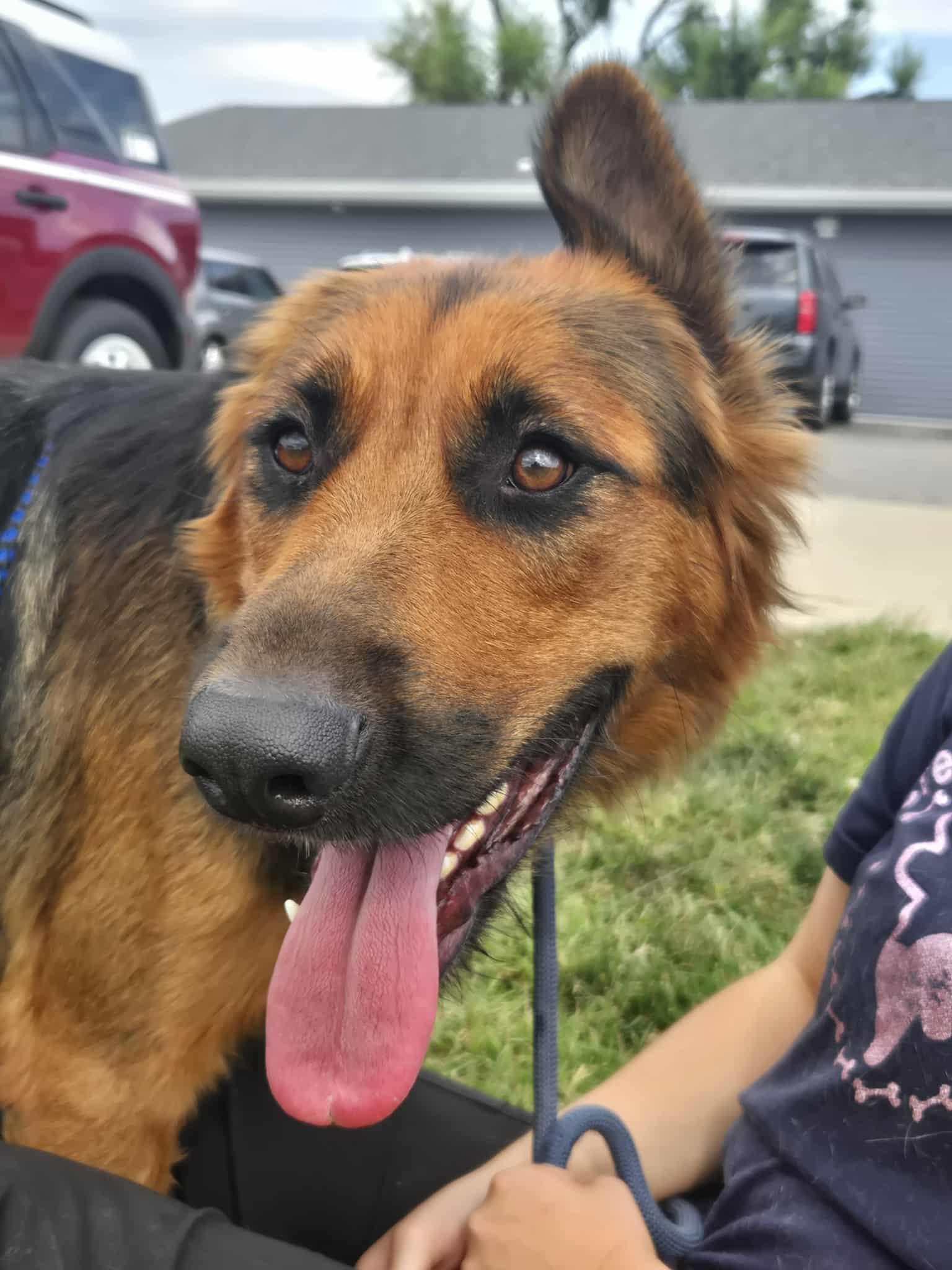 Josie