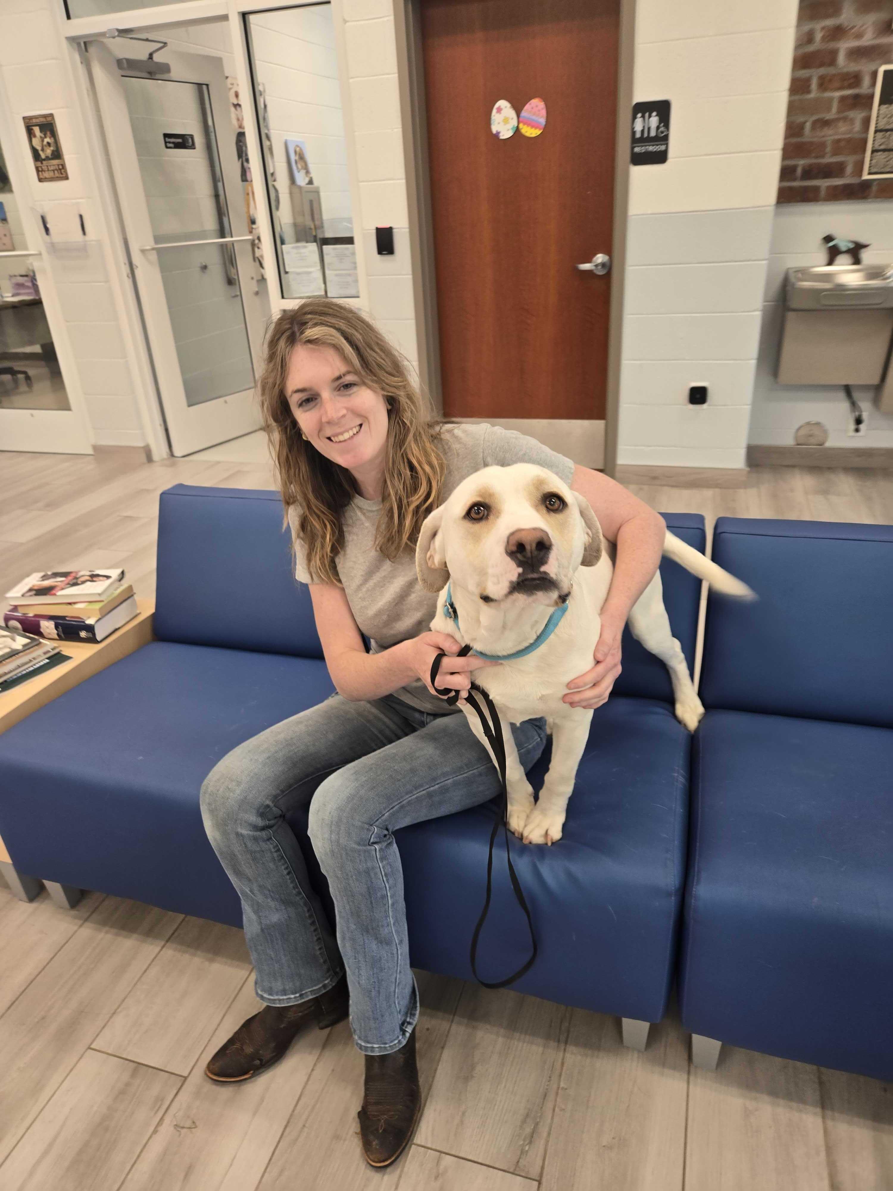 Enlarge Derry, a ADOPTABLE mixed breed in Maidens, VA image 6/6