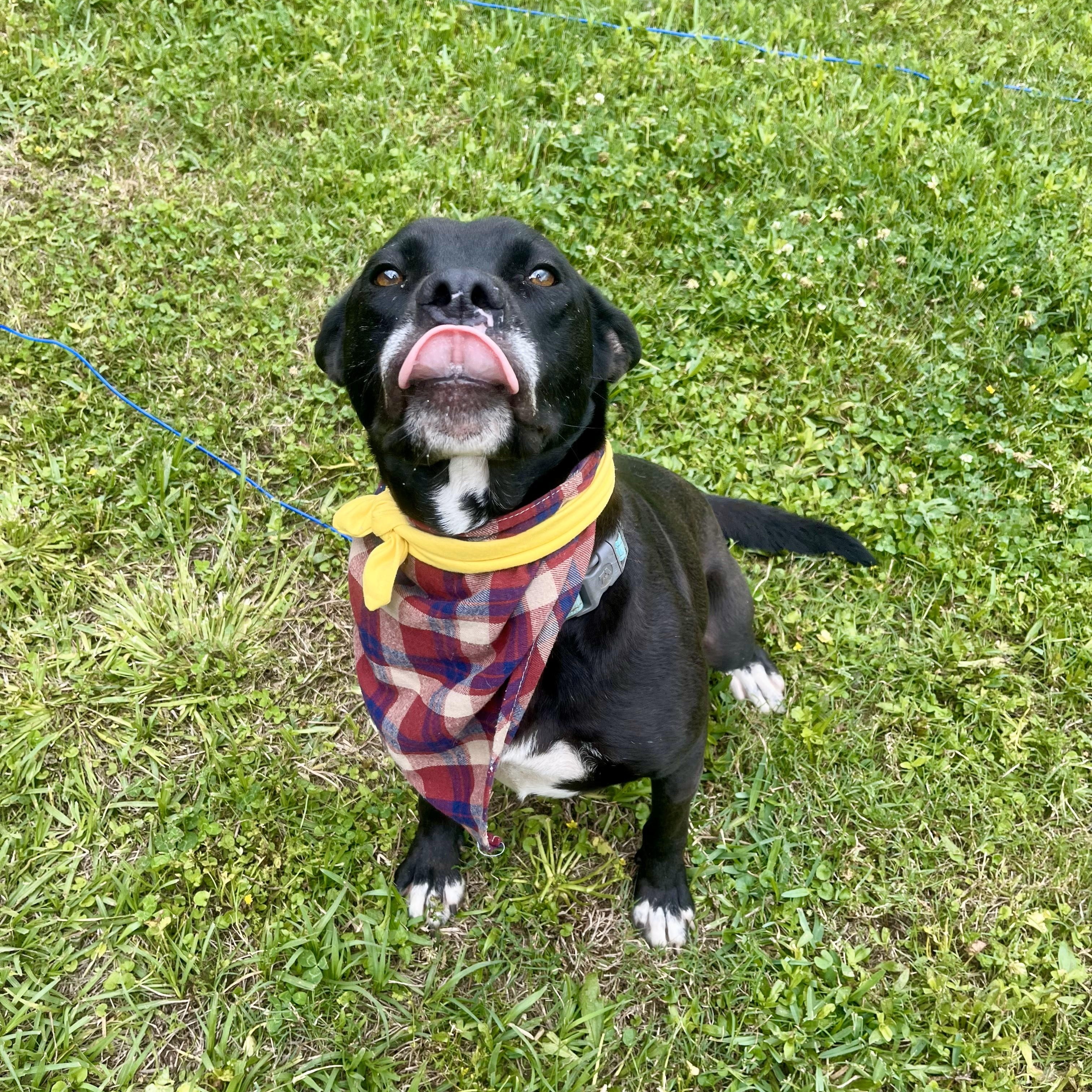 Flik Tortellini — thumbnail 5