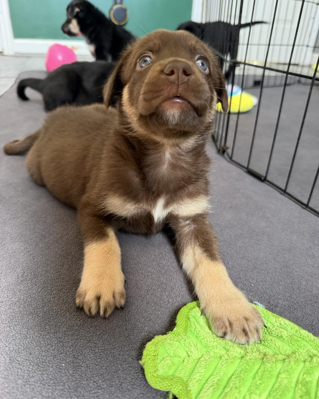 Photo of Atom
