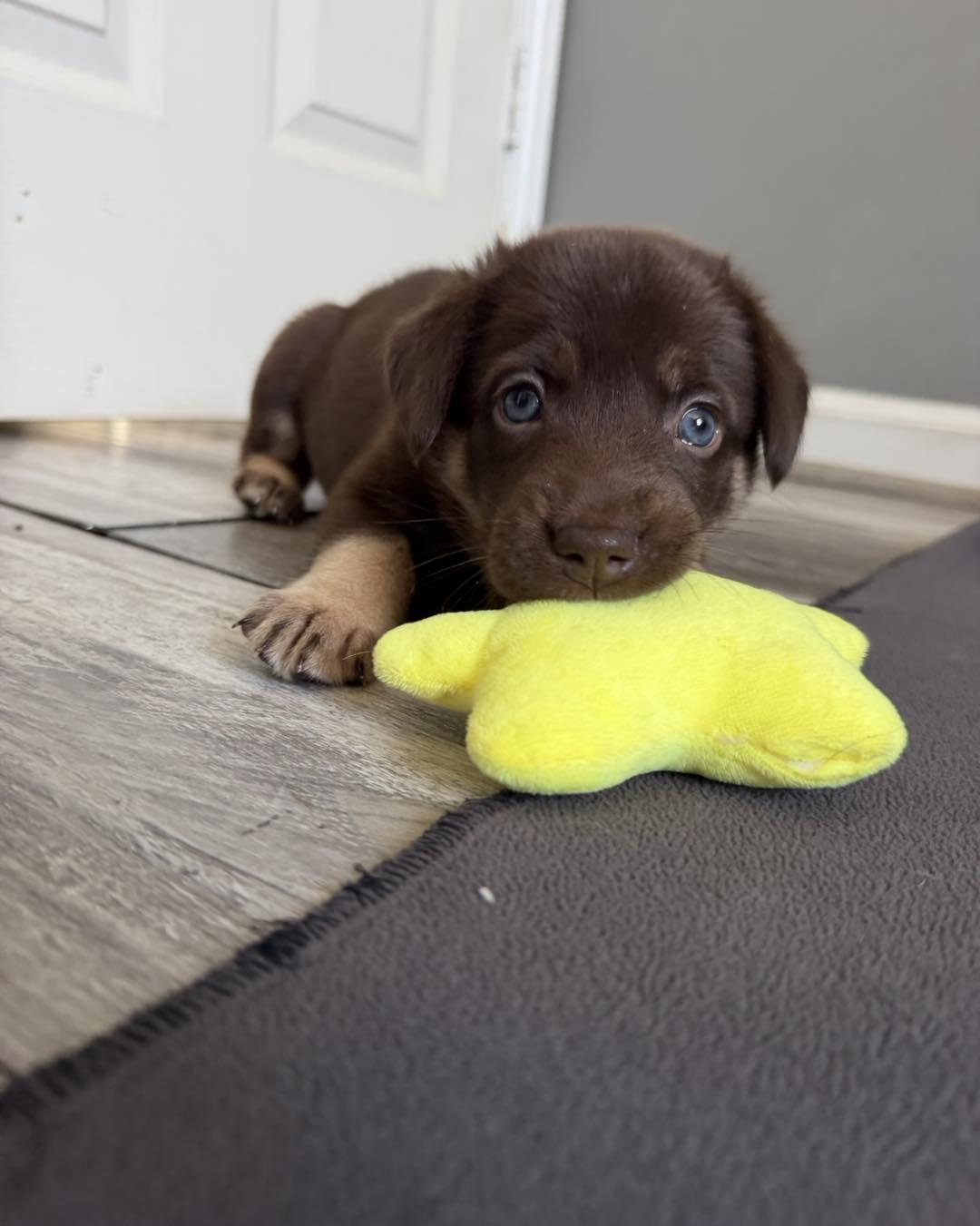Photo of Atom