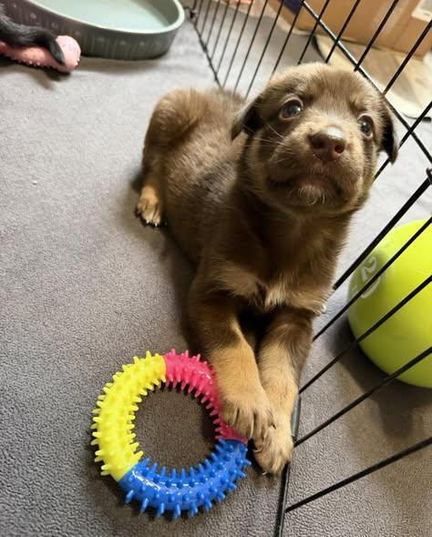 Photo of Atom