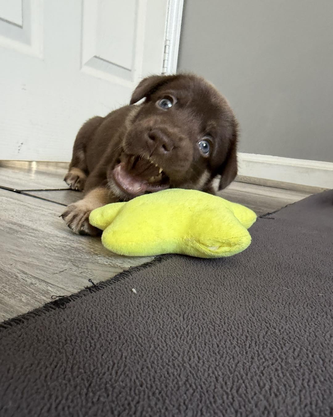 Photo of Atom