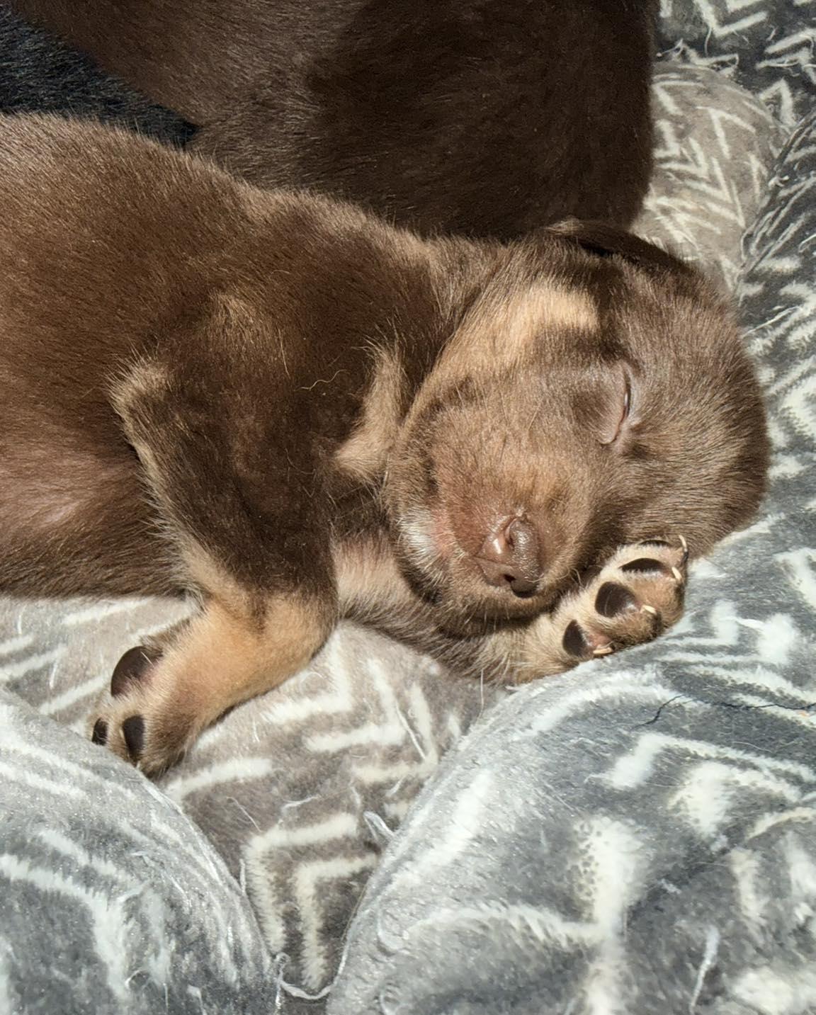 Photo of Atom