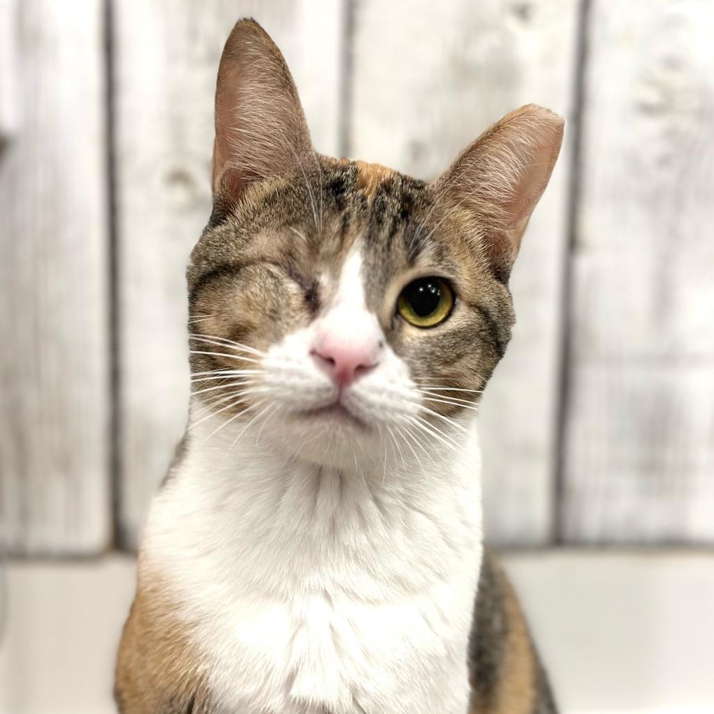 Linda - Qatar — thumbnail 2