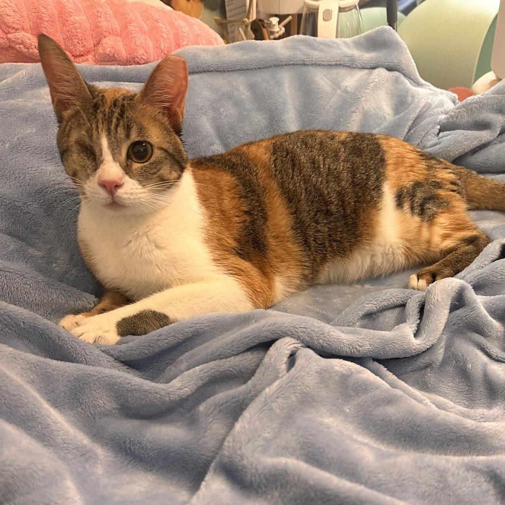 Linda - Qatar — thumbnail 6