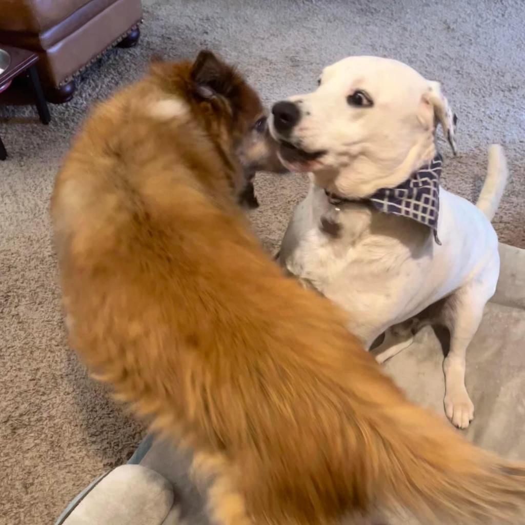 Coco Mann — thumbnail 2