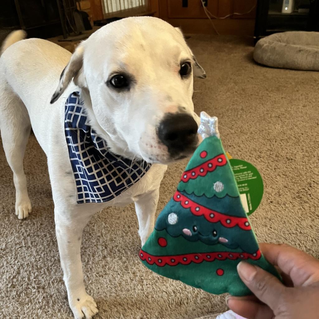 Coco Mann — thumbnail 6