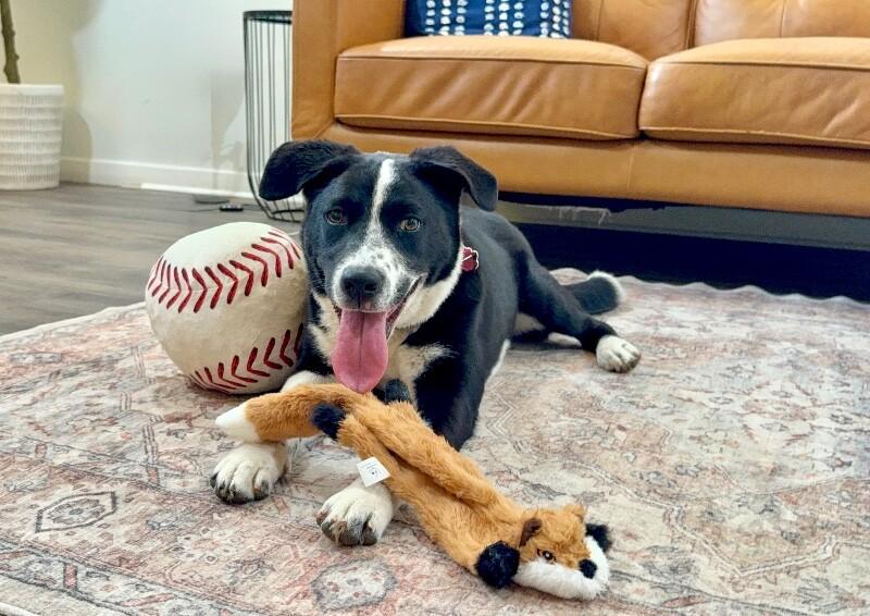 Flora Flowers Too Cute To Handle — thumbnail 5