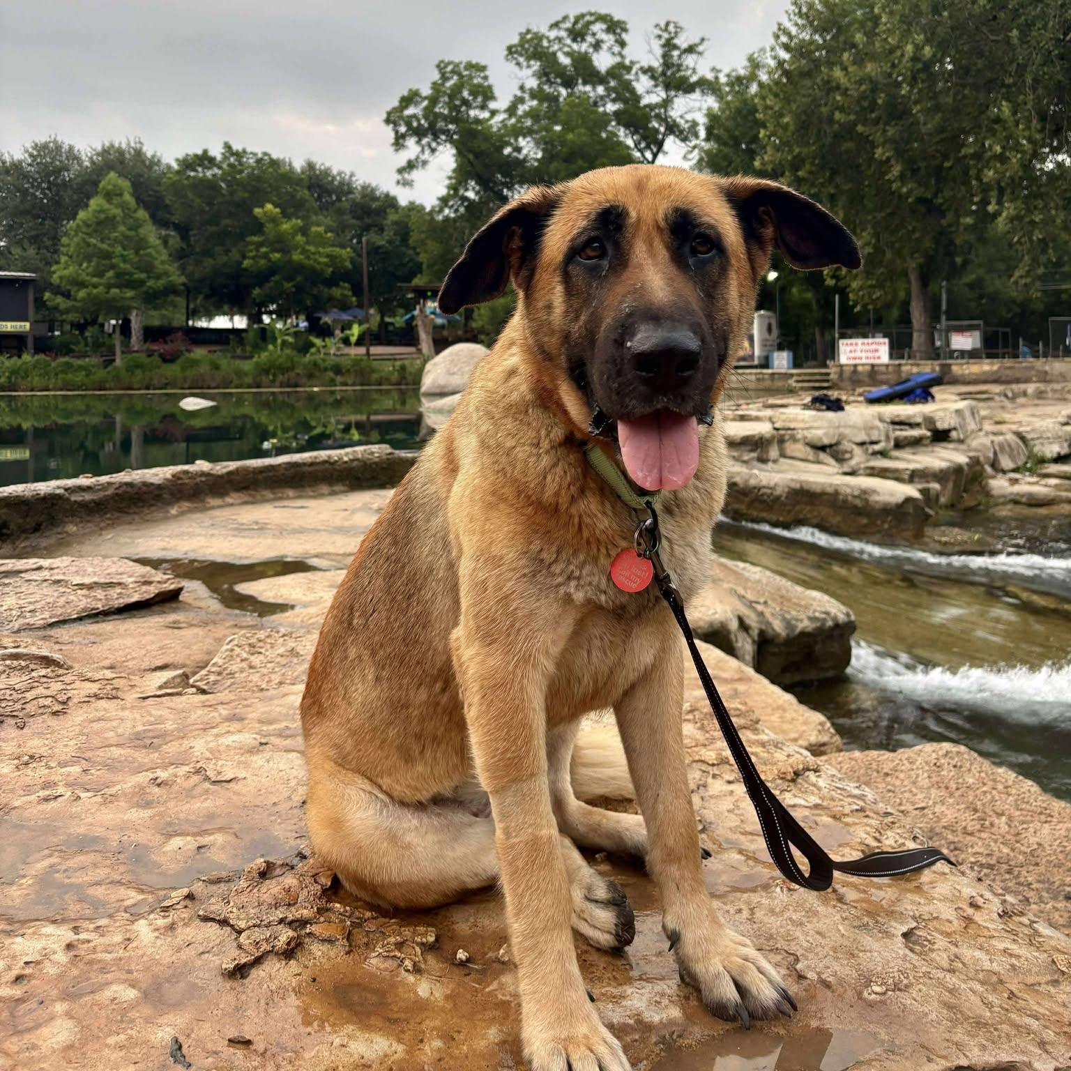 Hello my name is Athena Im a super calm relaxed no drama kind of girl who just wants to stand
