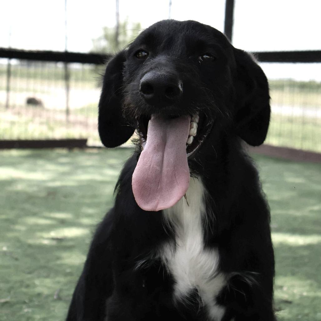 Karter JuM — thumbnail 4