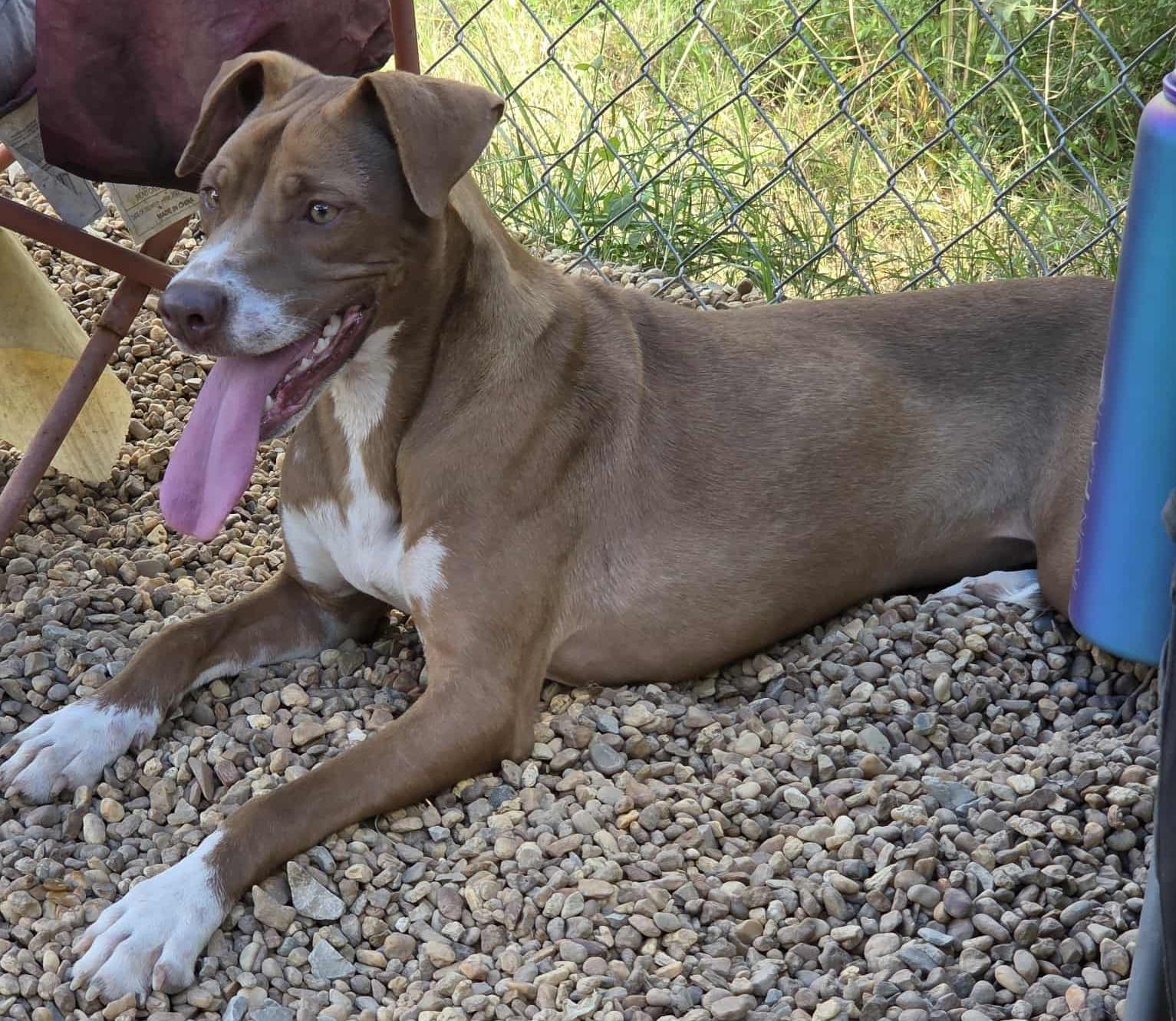 Brooklyn thumbnail 3