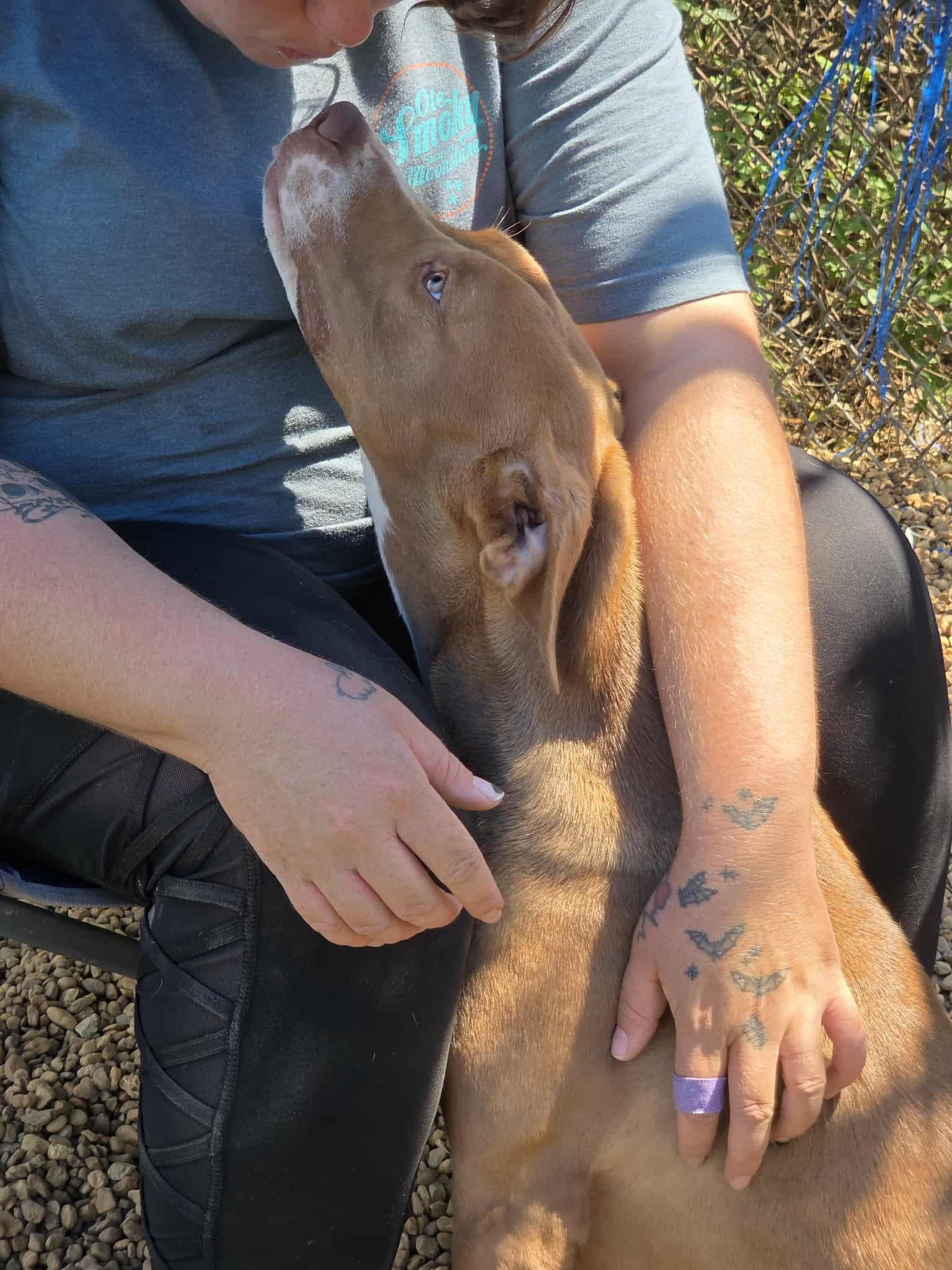 Brooklyn thumbnail 2