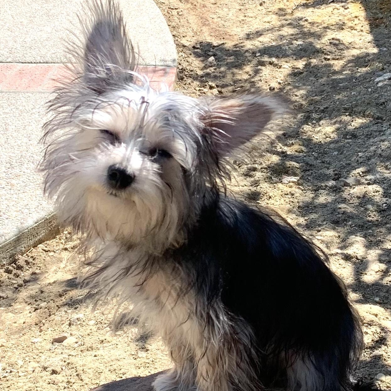 Fiona photo 3