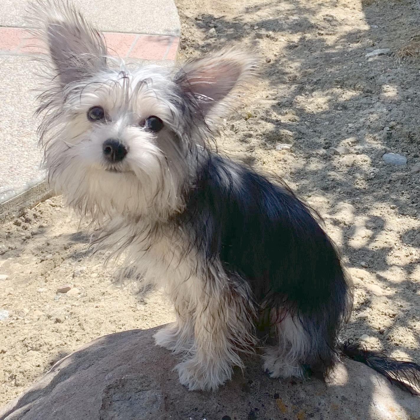 Fiona photo 4