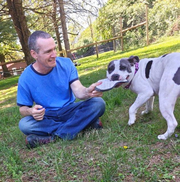 Storm, a ADOPTABLE Mixed Breed in New Tripoli, PA image 3/5