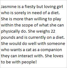 Jasmine, a ADOPTABLE Domestic Long Hair in Libby, MT image 4/4