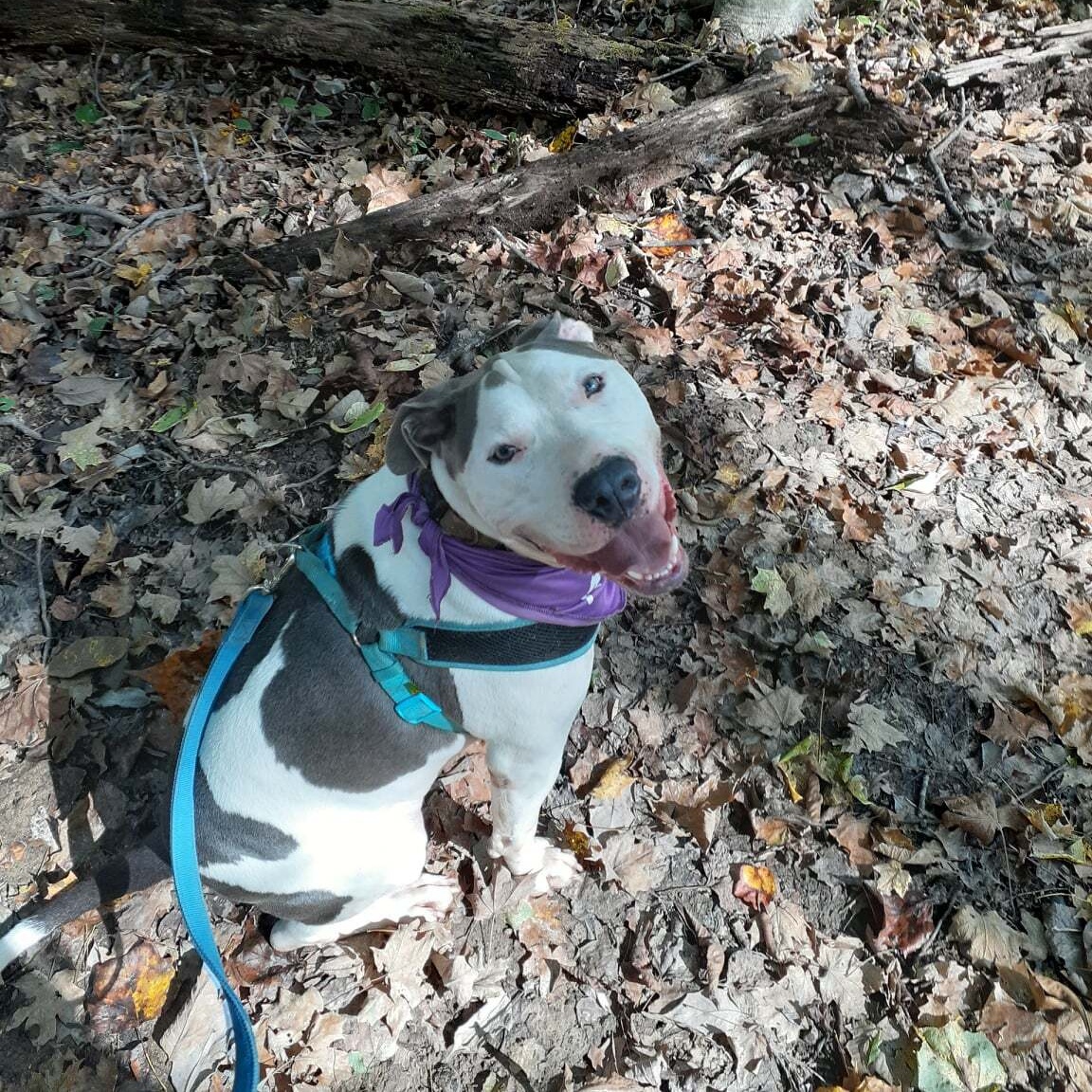 Hank photo 2