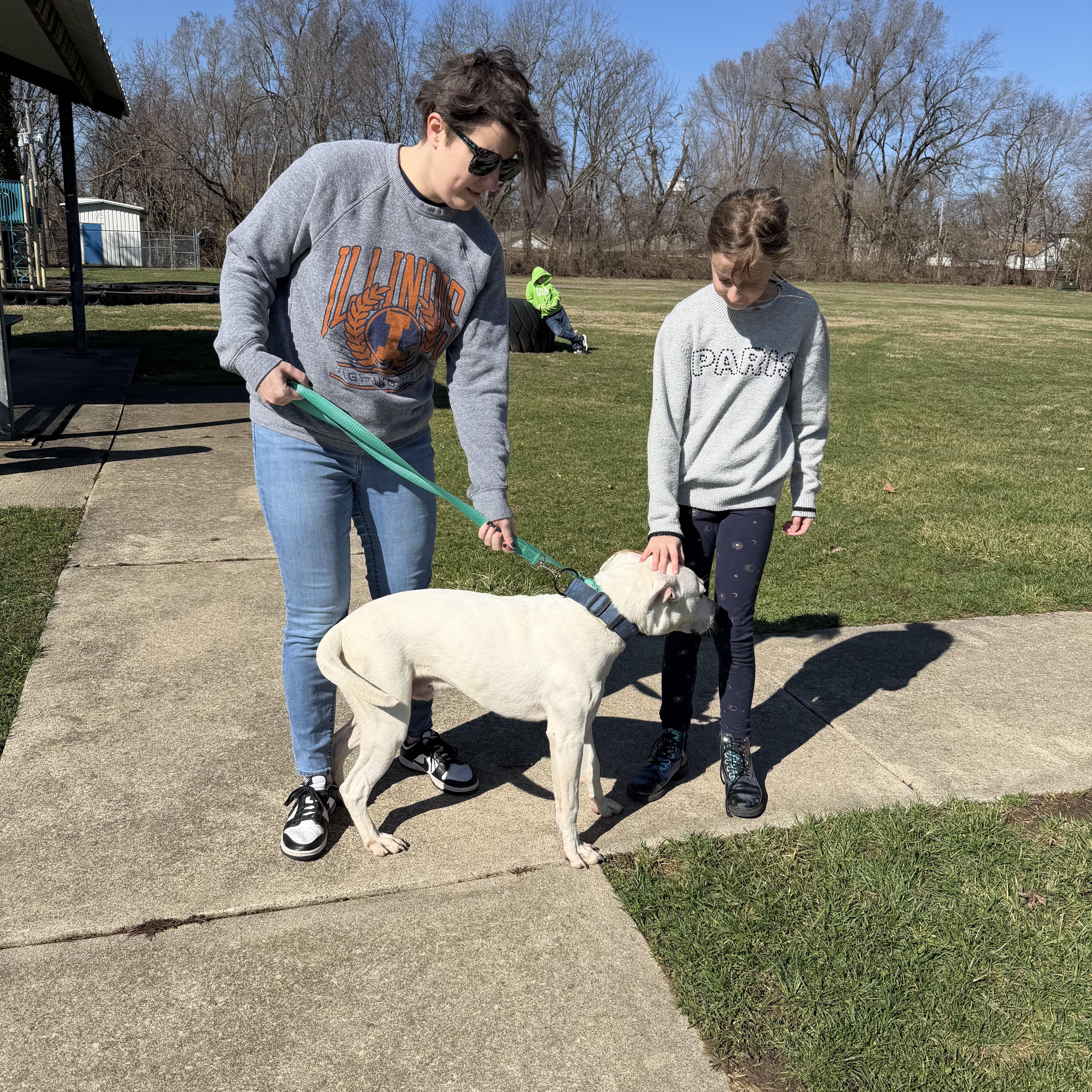 Enlarge Ghost (CP) FOSTER OR FOREVER HOME NEEDED ASAP, a ADOPTABLE mixed breed in Clinton, IL image 4/4