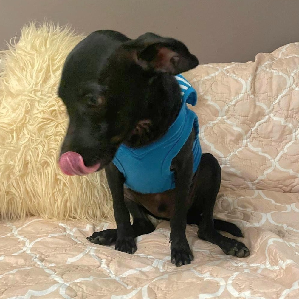 Robby Julian "are You thumbnail 3