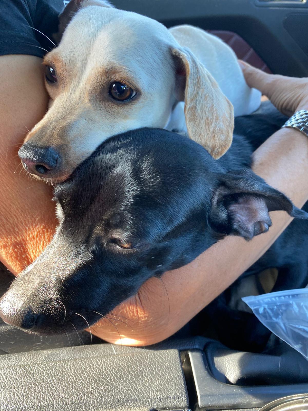 Robby Julian "are You thumbnail 4