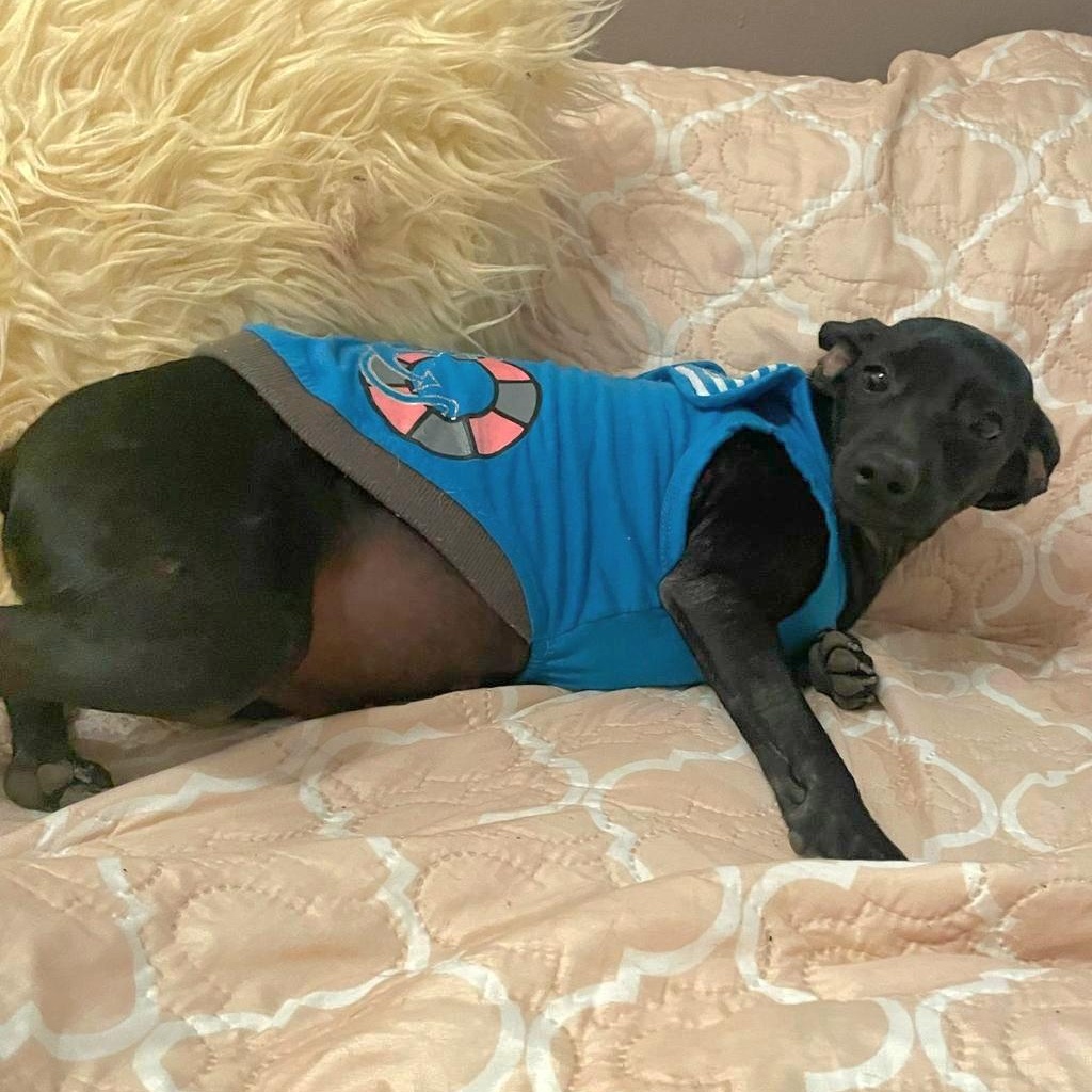 Robby Julian "are You thumbnail 5