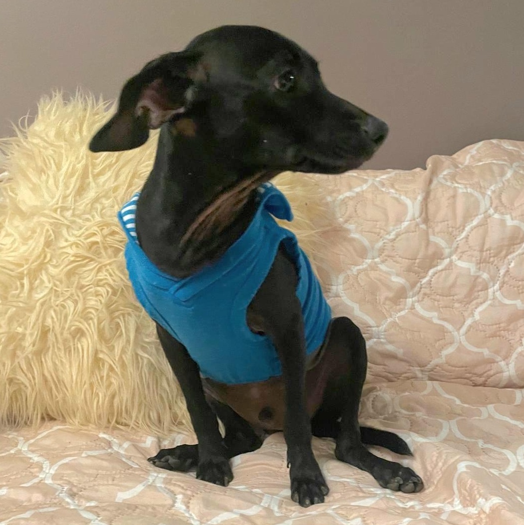 Robby Julian "are You thumbnail 6