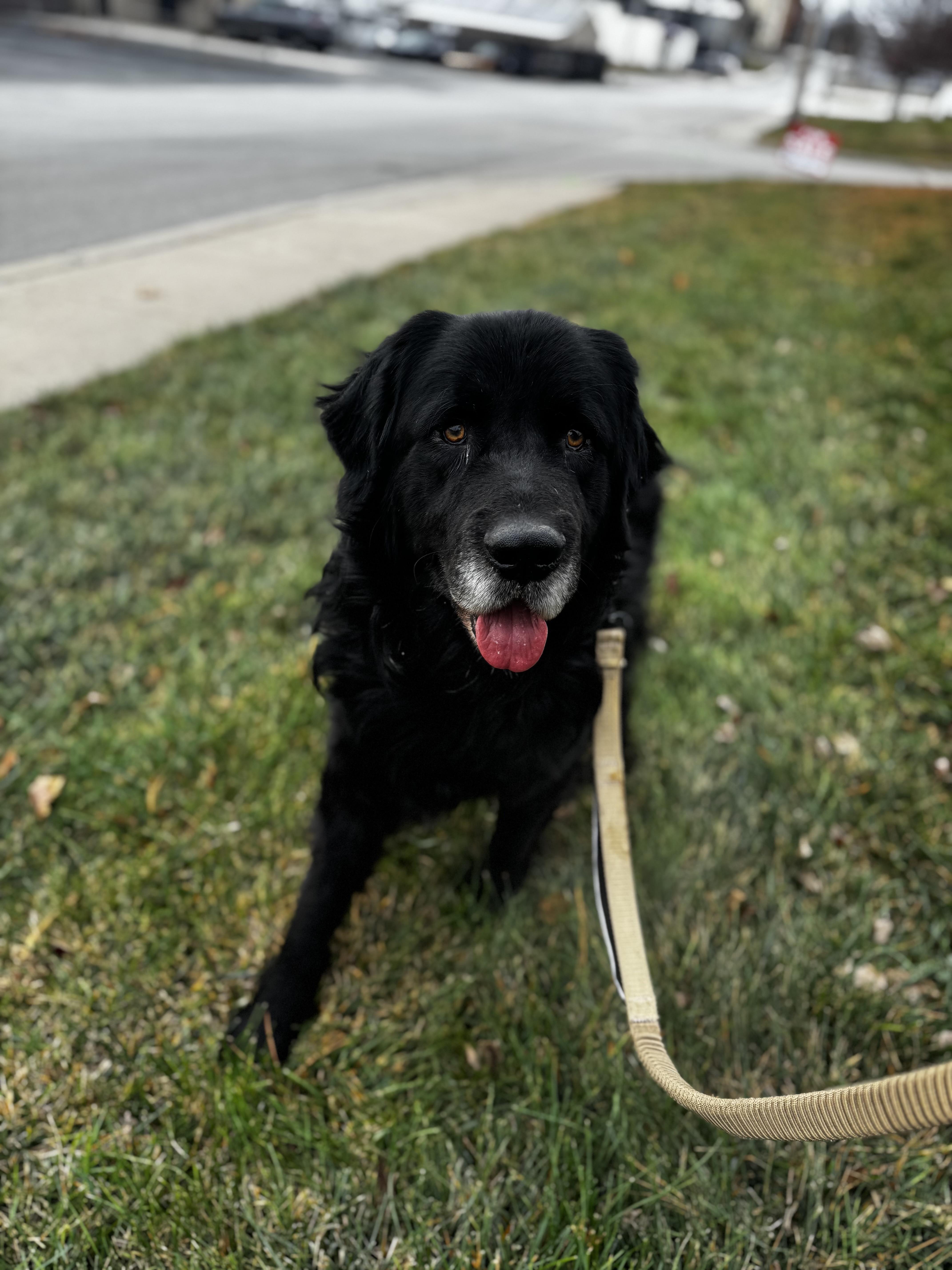 El Bandido thumbnail 3