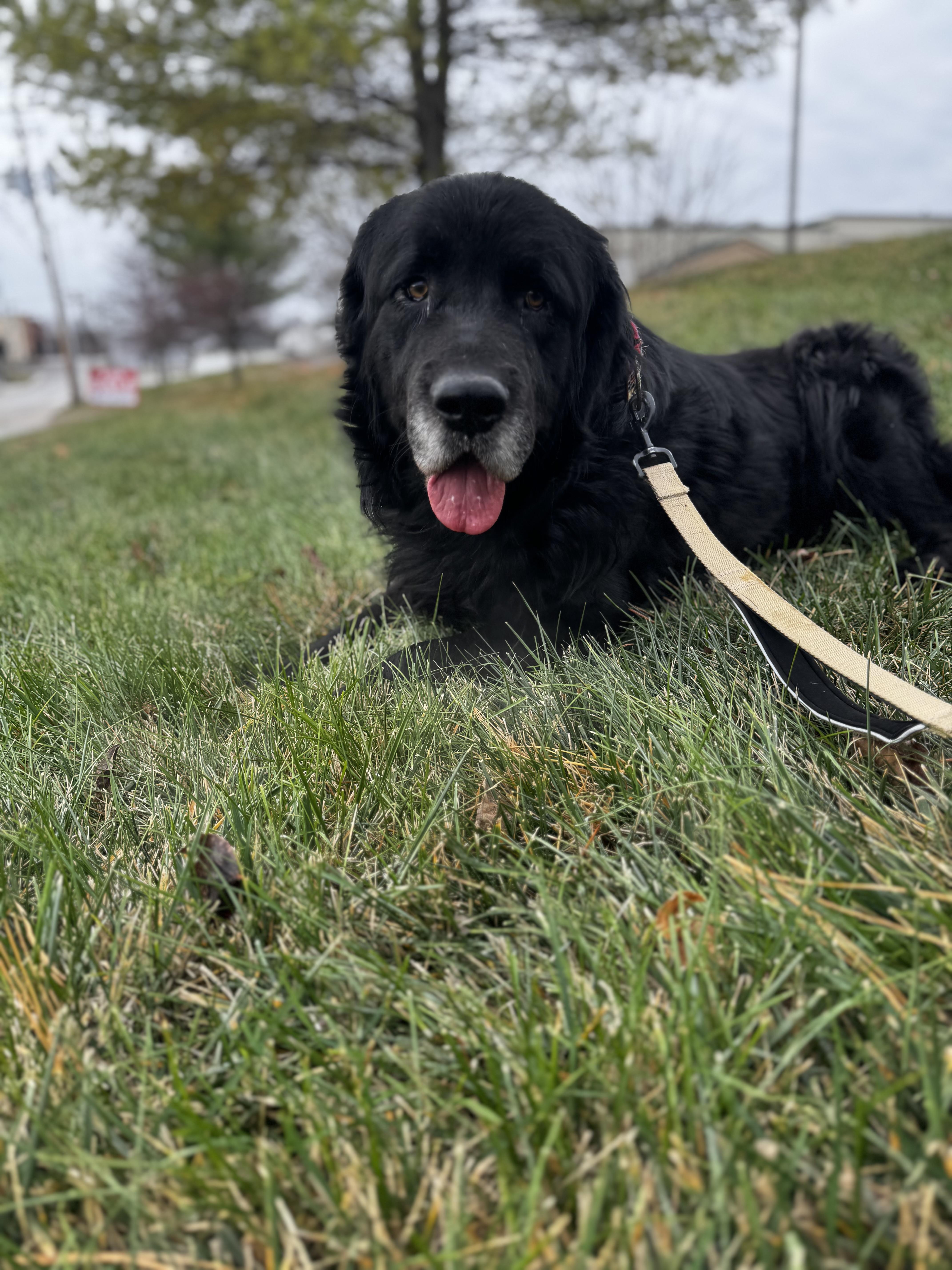 El Bandido thumbnail 4