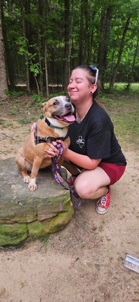 Enlarge Mariah, a Adoptable mixed breed in Tyler, TX image 3/5